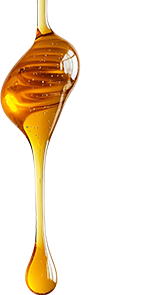 goldenhoney2