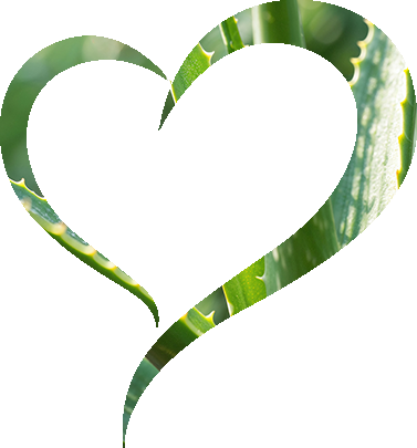 heartaloe
