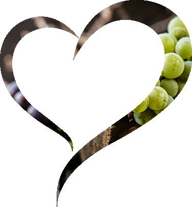 heartampelonas