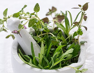 herbs4