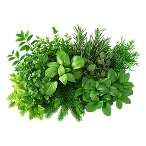 herbspng