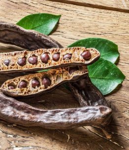 carob