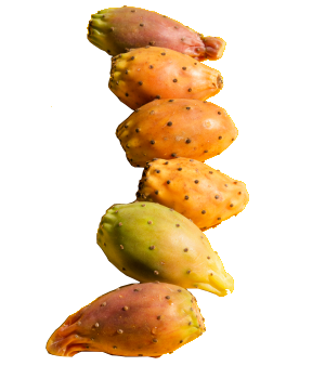 fragosykapng