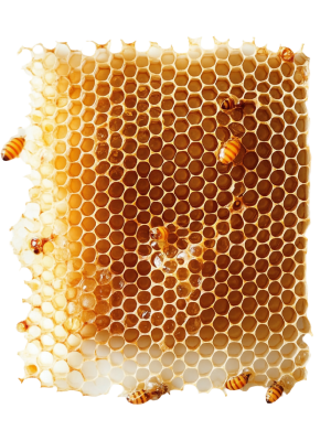 honeycomp