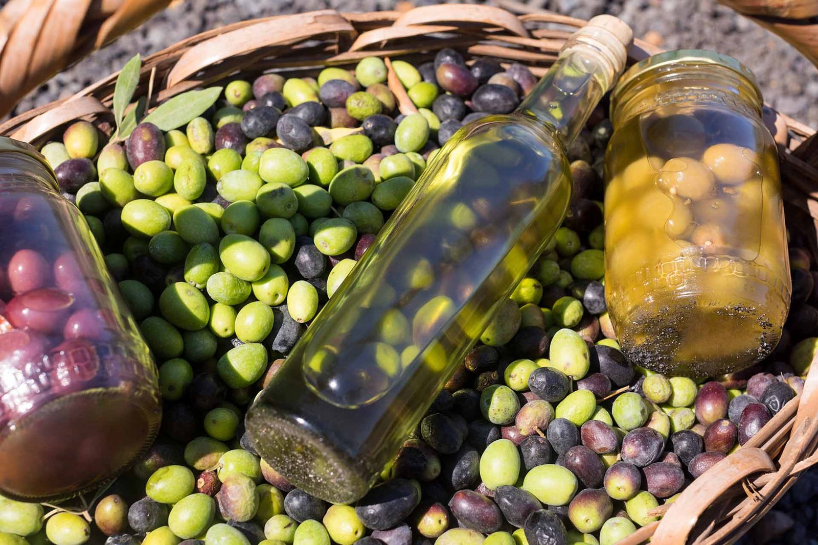 olive1