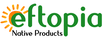 eftopia-logo-400