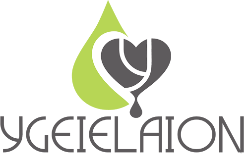 logoygeielaion500
